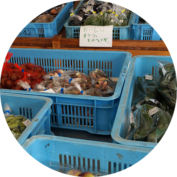 やさい直売所岩船港鮮魚センター店